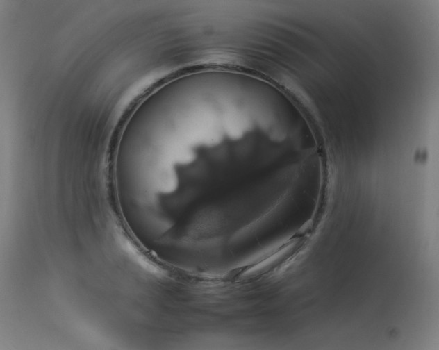 X0000114171037200910081517