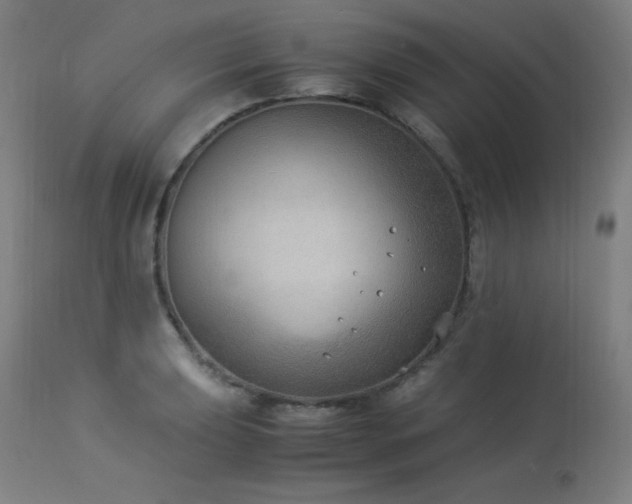 X0000114171039200910081517