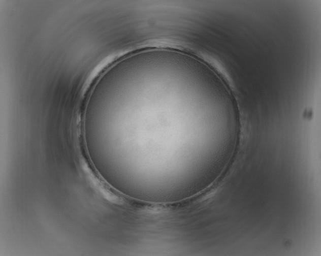X0000114171040200910081517