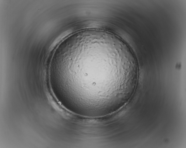 X0000114171042200910081517