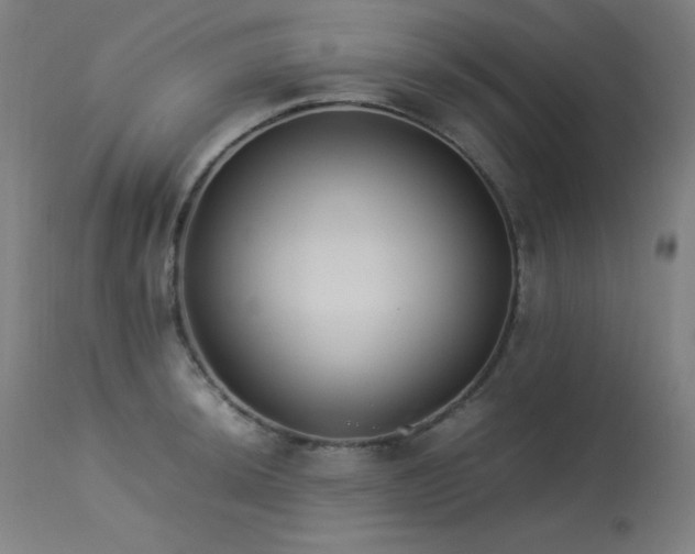 X0000114171044200910081517