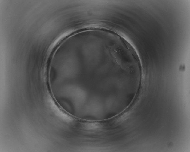 X0000114171045200910081517