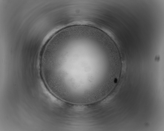 X0000114171046200910081517