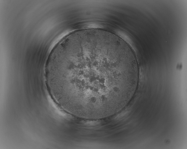 X0000114171047200910081517