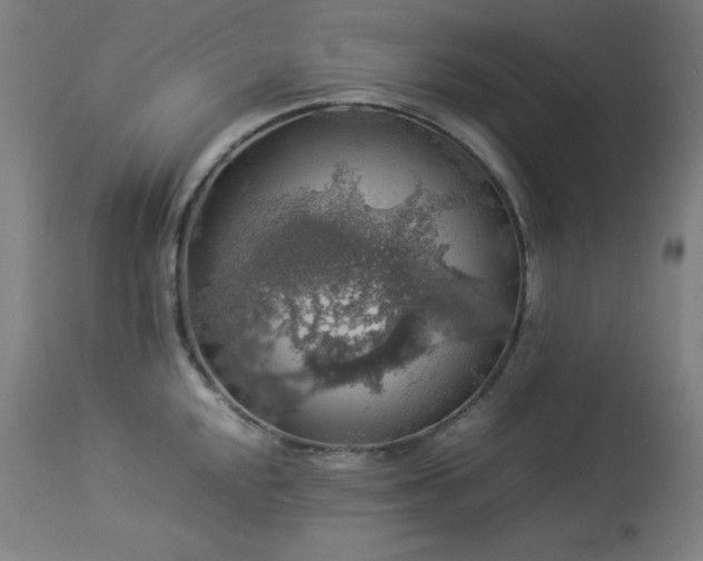 X0000114171048200910081517