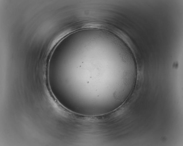 X0000114171050200910081517