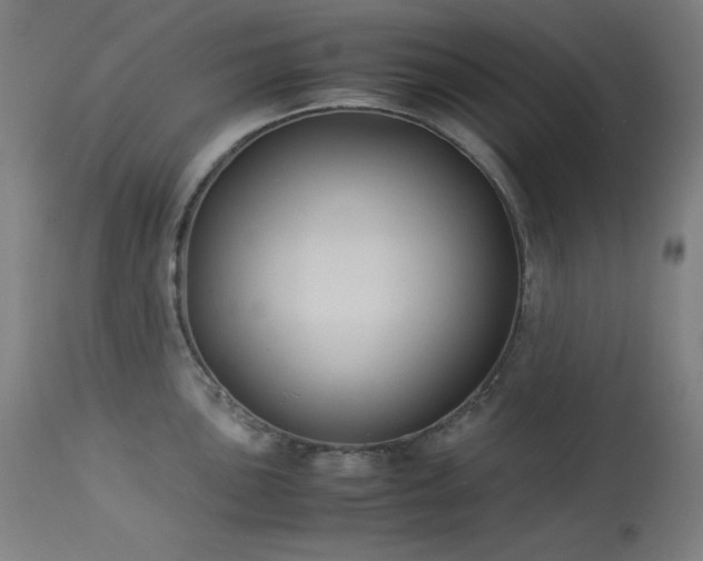 X0000114171051200910081517