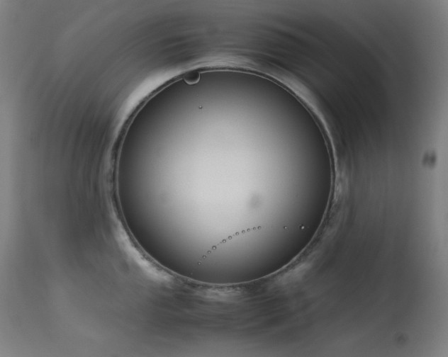 X0000114171053200910081517