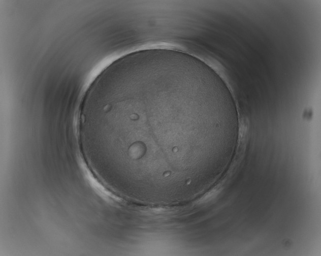X0000114171054200910081517