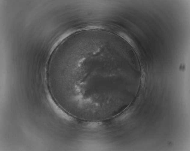 X0000114171055200910081517
