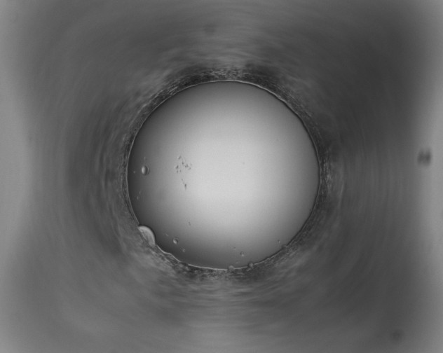 X0000114171057200910081517