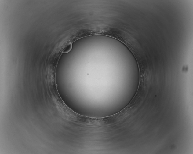 X0000114171058200910081517