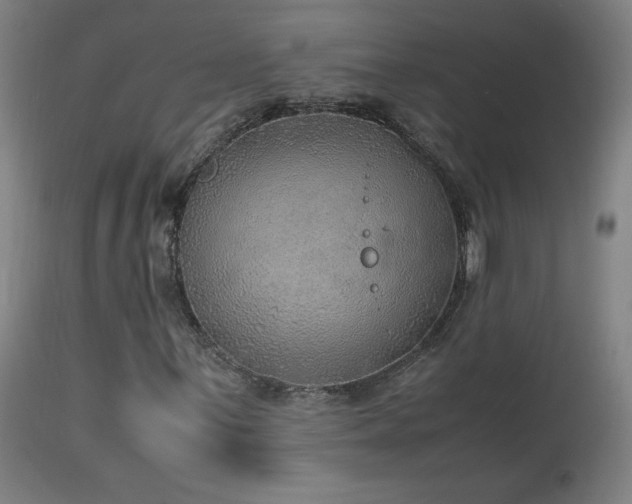 X0000114171059200910081517