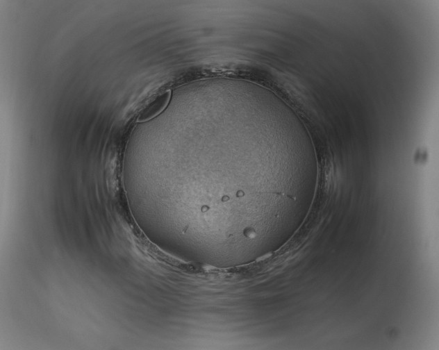 X0000114171060200910081517