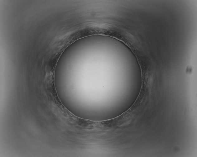 X0000114171061200910081517