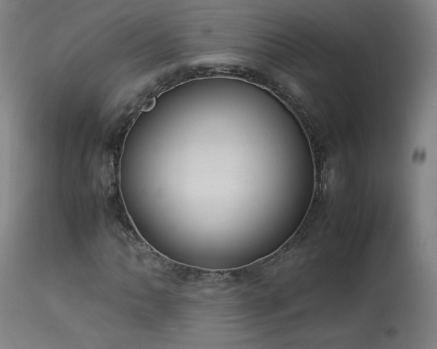 X0000114171062200910081517