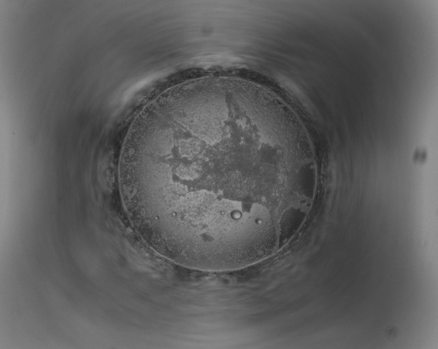 X0000114171063200910081517