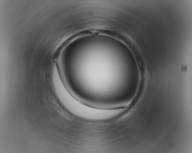 X0000114171065200910081517
