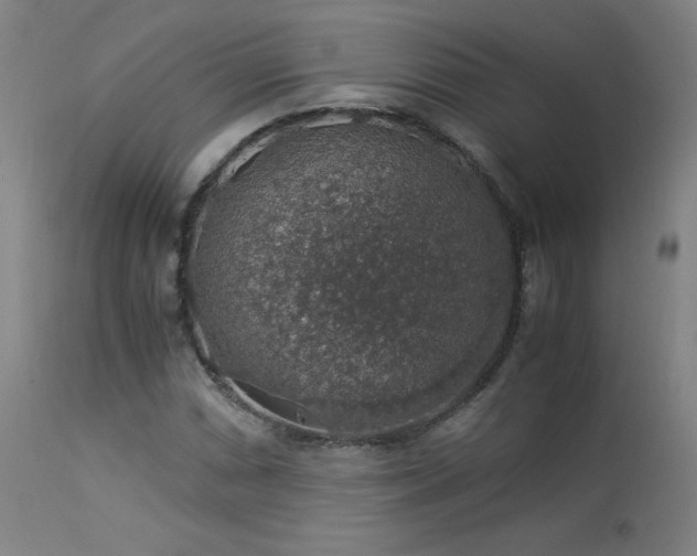 X0000114171066200910081517