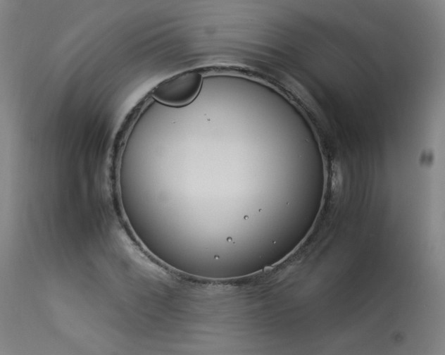 X0000114171068200910081517
