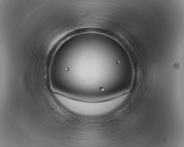 X0000114171069200910081517