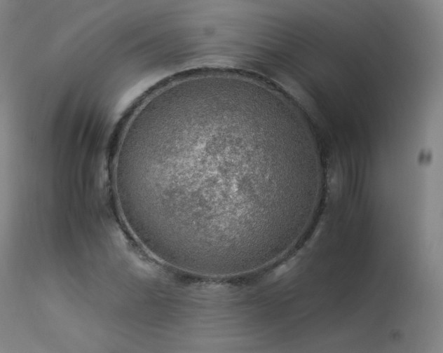 X0000114171070200910081517