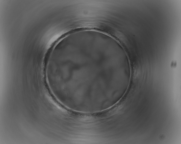 X0000114171071200910081517