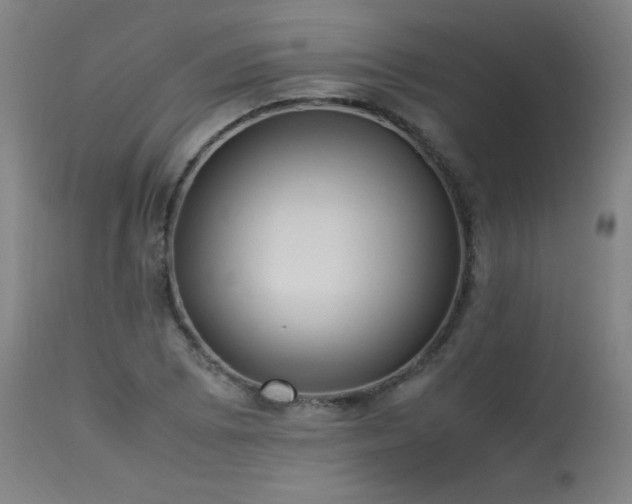 X0000114171073200910081517