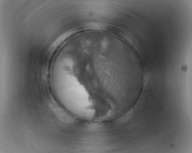 X0000114171074200910081517