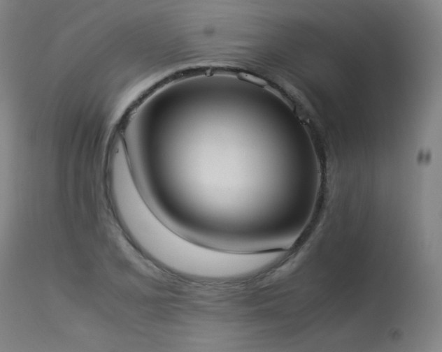 X0000114171077200910081517