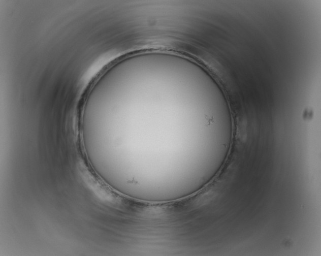 X0000114171078200910081516
