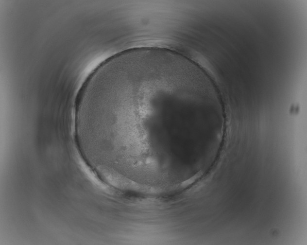 X0000114171079200910081516