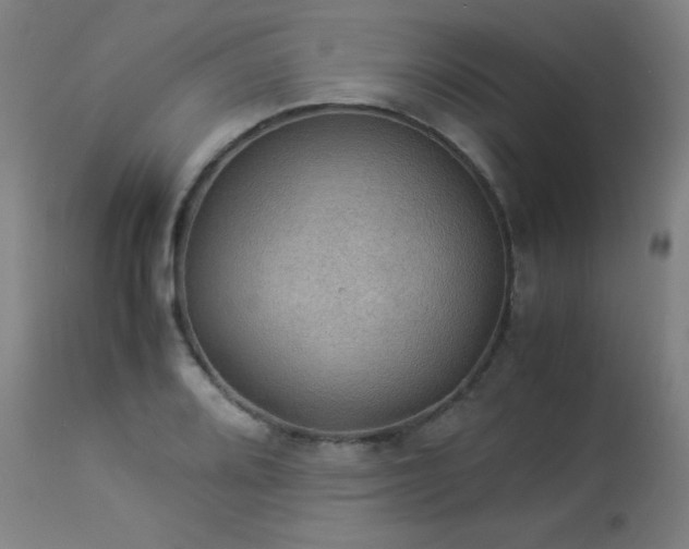 X0000114171080200910081516
