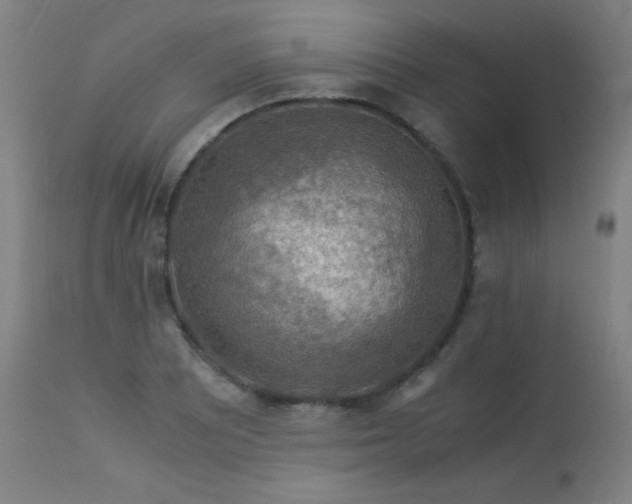 X0000114171081200910081516