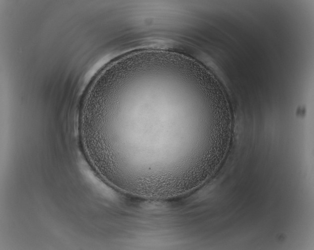 X0000114171083200910081516