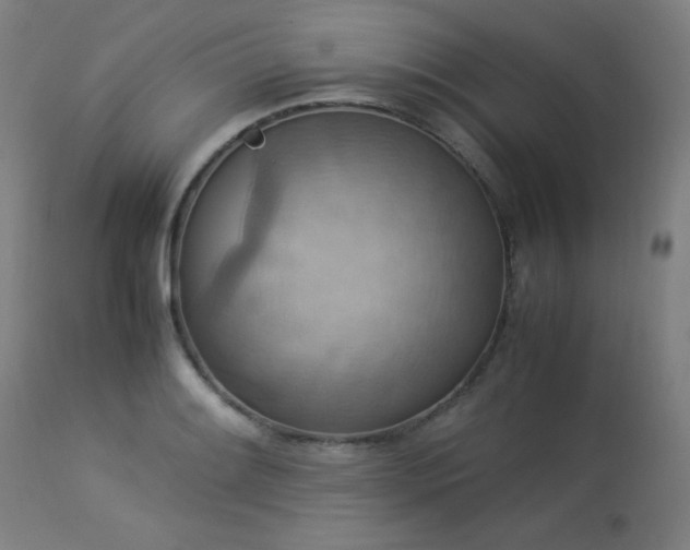 X0000114171084200910081516