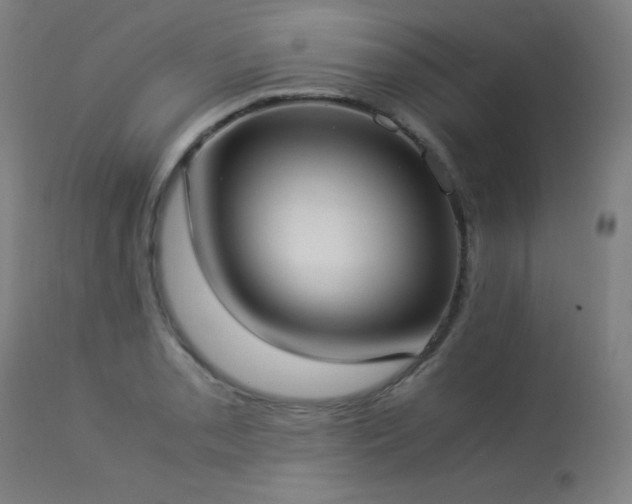 X0000114171085200910081516