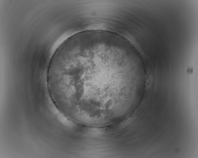 X0000114171086200910081516