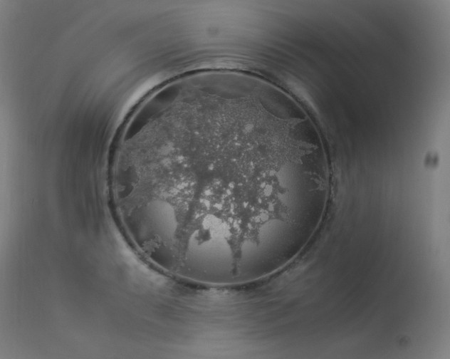 X0000114171087200910081516