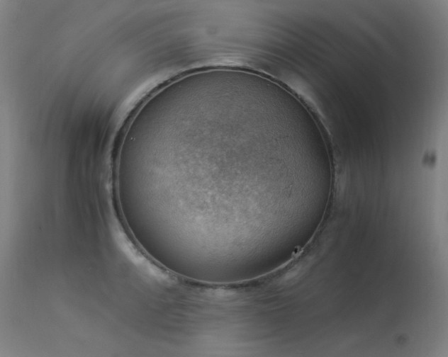 X0000114171088200910081516