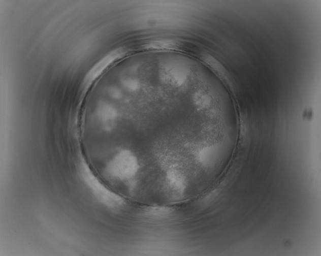 X0000114171090200910081516