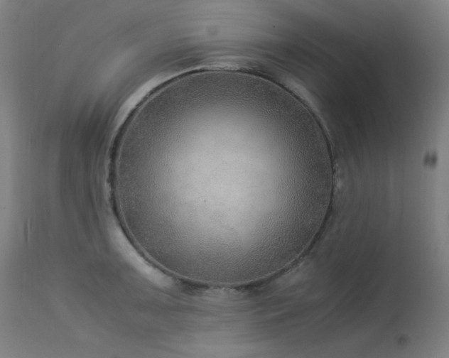 X0000114171091200910081516