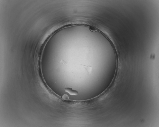 X0000114171093200910081516