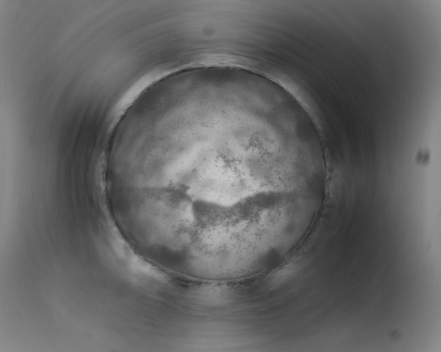 X0000114171094200910081516