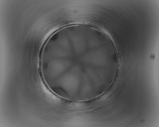 X0000114171095200910081516