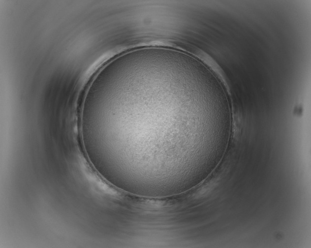 X0000114171096200910081516