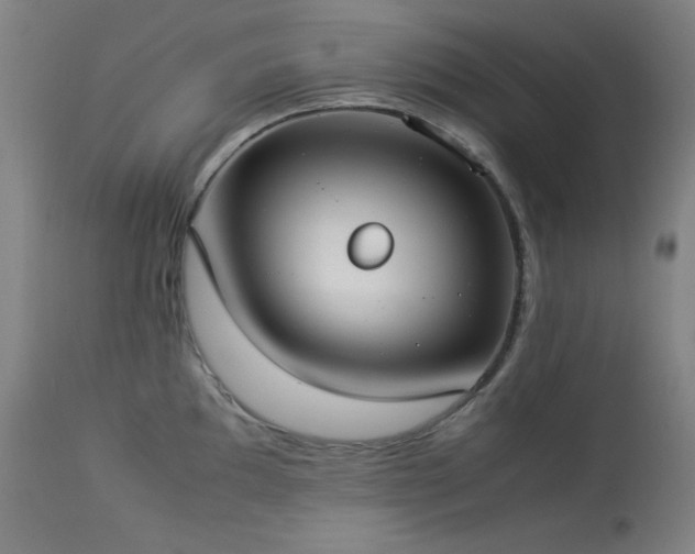 X0000114171097200910081516
