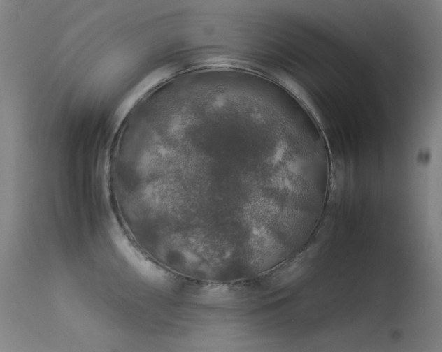 X0000114171098200910081516