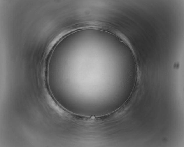 X0000114171099200910081516