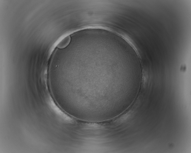 X0000114171100200910081516